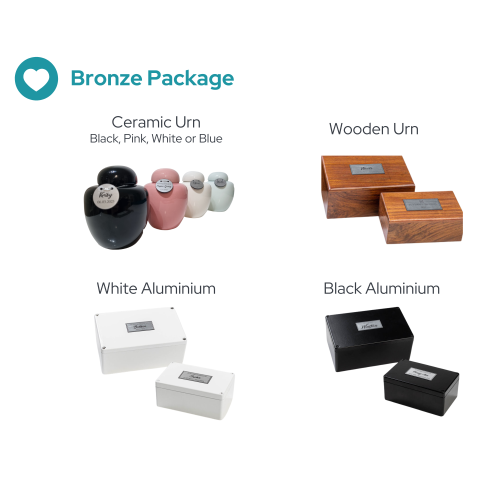 Bronze Package