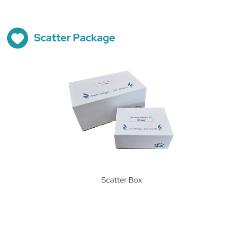 Scatter Package