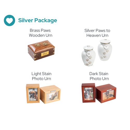 Silver Package